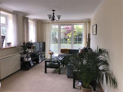 Picture 3